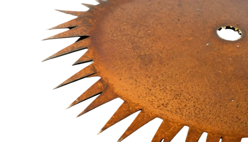 sea-urchin,sea urchin,urchin,hedgehog head,varroa destructor,seed-head,spiny,varroa,hedgehog heads,prickle,anglerfish,stored sunflower,spiky,sea urchins,porcupine,kiwano,pineapple sprocket,wide sawfish,spiny sea shell,bevel gear,Illustration,Paper based,Paper Based 09