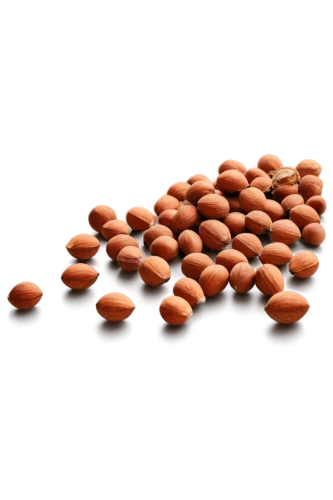 unshelled almonds,pine nuts,almond nuts,kidney beans,pine nut,cocoa beans,almonds,indian almond,cowpea,salted almonds,argan,apricot kernel,roasted almonds,fish oil capsules,pumpkin seed,almond oil,common bean,hippophae,almond meal,argan tree,Illustration,Vector,Vector 02