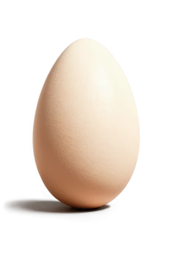 egg,chicken egg,large egg,eggshell,egg shell,organic egg,soy egg,brown egg,bisected egg,hen's egg,boiled egg,goose eggs,bird's egg,chicken eggs,painted eggshell,cracked egg,egg cooked,egg shells,egg shaker,egg shell break,Conceptual Art,Oil color,Oil Color 12