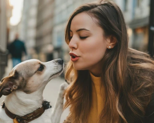 pet vitamins & supplements,girl with dog,dog photography,dog-photography,sniffing,companion dog,pet adoption,human and animal,wag,bite,to smell,adopt a pet,dog cafe,a heart for animals,licking,puppy love,boy kisses girl,olfaction,dog puppy while it is eating,for pets
