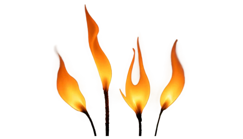 fire logo,fire background,fire-eater,barbecue torches,olympic flame,matchstick,fire screen,firespin,fire ring,flaming torch,fire artist,the conflagration,fire kite,fire eater,gas flame,fires,fire flower,fire siren,rss icon,conflagration,Illustration,Retro,Retro 19