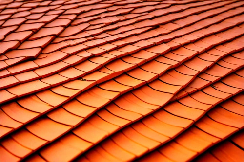 roof tiles,roof tile,clay tile,tiled roof,terracotta tiles,slate roof,almond tiles,roof landscape,roofing,shingles,roof panels,red roof,wooden roof,ridges,thatch roofed hose,house roof,tiles,tessellation,turf roof,ceramic tile,Conceptual Art,Daily,Daily 11