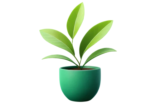 potted plant,growth icon,container plant,potted palm,money plant,plant pot,oil-related plant,houseplant,green plant,pot plant,rank plant,dark green plant,plant,bellenplant,monocotyledon,perennial plant,thick-leaf plant,potted tree,small plant,potted plants,Conceptual Art,Oil color,Oil Color 07