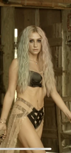 cave girl,video clip,saxon,video scene,belly dance,havana brown,wig,celtic queen,sledgehammer,pixie,abs,dollhouse,fantasy woman,fae,voodoo woman,rag doll,gypsy,callisto,partition,voodoo doll