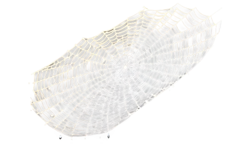 egg net,skeleton leaf,crinoline,rope drum,fish skeleton,bird protection net,fan leaf,euploea core,mosquito net,transparent material,box jellyfish,net-winged insects,spiny sea shell,suspended leaf,cockscomb,harness cocoon,ginkgo leaf,cocoon,polypropylene bags,leaf structure,Art,Artistic Painting,Artistic Painting 03