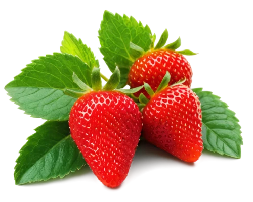 strawberry ripe,strawberry plant,strawberry,alpine strawberry,strawberries,red strawberry,mock strawberry,virginia strawberry,strawberries falcon,west indian raspberry ,west indian raspberry,strawberry flower,berry fruit,mollberry,strawberries in a bowl,native raspberry,salad of strawberries,raspberry,strawberry tree,strawberry juice,Illustration,Retro,Retro 09