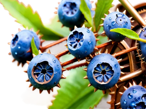 blue flowers,ti plant,mechanical fan,blue flower,steampunk gears,bevel gear,cogs,cog,spiral bevel gears,blue wooden bee,water plant,blue leaf frame,gears,valves,blue petals,inductor,lotus pod,aaa,fractals art,euphorbia splendens,Illustration,Realistic Fantasy,Realistic Fantasy 13