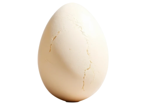 bisected egg,egg,eggshell,egg shell,chicken egg,large egg,goose eggs,brown egg,painted eggshell,cracked egg,soy egg,organic egg,hen's egg,bird's egg,egg shells,egg white,boiled egg,tea egg,eggshells,egg shell break,Photography,General,Fantasy