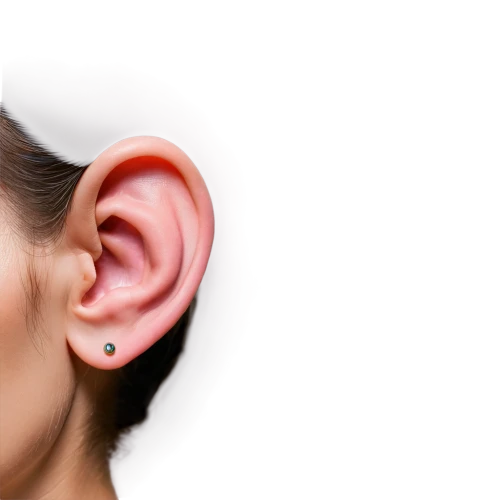 auricle,ear cancers,ear,ear-drum,hearing,ear tags,earplug,ear sticks,earring,ears,ears of cows,body piercing,earrings,earpieces,audio accessory,tinnitus,grain ears,earbuds,princess' earring,reflex eye and ear,Unique,3D,Modern Sculpture