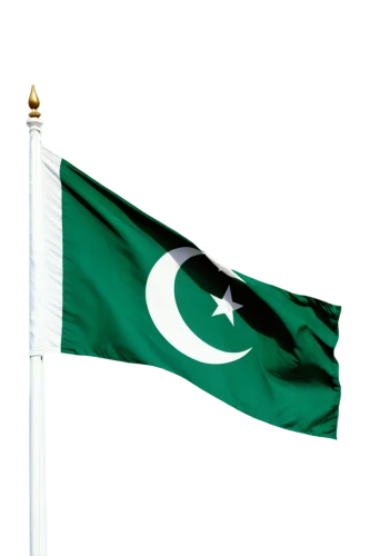 pakistan,national flag,pakistan pkr,hd flag,india flag,okara,bangladeshi taka,pakistan salt,the national flower of pakistan,lahore,pakistani rupee,indian flag,country flag,race track flag,target flag,flag,brunei,flag pole,race flag,omani,Art,Artistic Painting,Artistic Painting 42