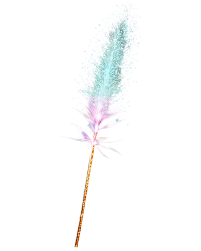 incense stick,fireworks rockets,fire poker flower,magic wand,feather bristle grass,incense sticks,rock candy,dandelion background,feather pen,glitter arrows,straw flower,flowers png,pyrotechnic,rainbow pencil background,wand,dandelion flying,furin,firework,feather carnation,flower broom,Conceptual Art,Daily,Daily 04