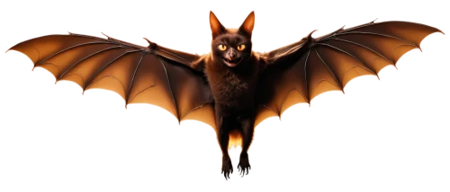 bat,fruit bat,megabat,little red flying fox,bat smiley,lantern bat,vampire bat,hanging bat,bats,tropical bat,flying fox,big brown bat,mouse eared bat,greater crimson glider,batrachian,halloween vector character,draconic,firestar,batman,dark-type,Conceptual Art,Oil color,Oil Color 13