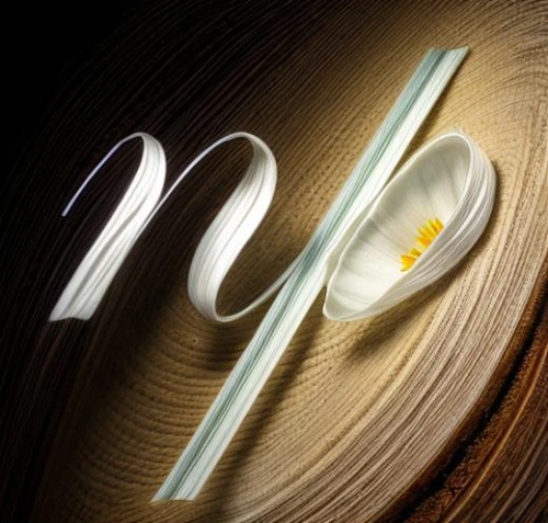 eco-friendly cutlery,brass chopsticks vegetables,egg spoon,cutlery,tableware,flatware,table knife,utensils,junshan yinzhen,kaiseki,chopsticks,wooden spoon,silver cutlery,sake set,egg slicer,bamboo scissors,cooking utensils,chopstick,sushi art,chop sticks,Realistic,Flower,Trillium