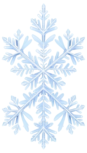 snowflake background,christmas snowflake banner,blue snowflake,snow flake,christmas snowy background,snowflake,white snowflake,winter background,wreath vector,christmas tree pattern,christmas pattern,gold foil snowflake,snowflakes,ice crystal,weather icon,christmas motif,snowflake cookies,icemaker,blue spruce,summer snowflake,Photography,Artistic Photography,Artistic Photography 06