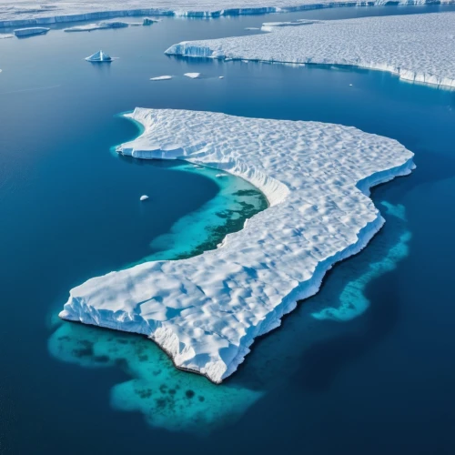 ice floe,sea ice,ice floes,iceberg,iceburg lettuce,antarctica,greenland,icebergs,arctic antarctica,antartica,antarctic,arctic ocean,iceberg lettuce,polar ice cap,ice landscape,glacial melt,south pole,water glace,atoll from above,continental shelf