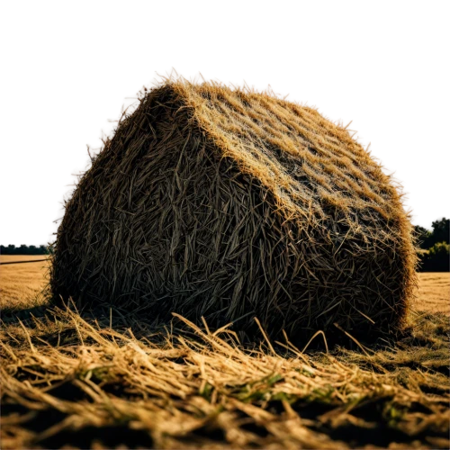 round straw bales,straw bales,round bale,hay stack,haystack,straw bale,needle in a haystack,hay bale,hay barrel,hay bales,round bales,bales of hay,pile of straw,straw hut,woman of straw,haymaking,hay balls,straw field,mountain meadow hay,threshing,Illustration,Paper based,Paper Based 26