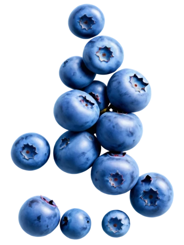 blueberries,bilberry,blueberry,blue grapes,johannsi berries,plums,jamun,damson,bayberry,berry fruit,blue eggs,dewberry,jewish cherries,quandong,berry quark,blueberry muffins,pome fruit,wall,european plum,kaki fruit,Illustration,Retro,Retro 11