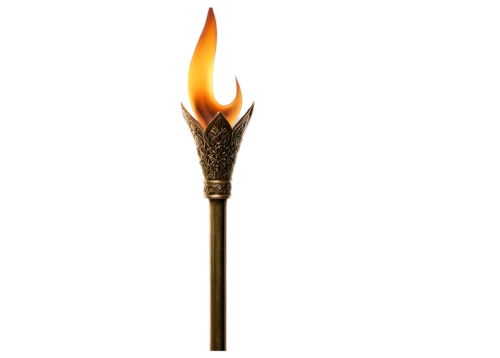flaming torch,torch tip,fire poker flower,torch,barbecue torches,olympic flame,torch-bearer,torch holder,burning torch,torches,candle wick,igniter,thermal lance,candle holder with handle,the white torch,smouldering torches,gas flame,torchlight,golden candlestick,matchstick,Photography,Documentary Photography,Documentary Photography 22