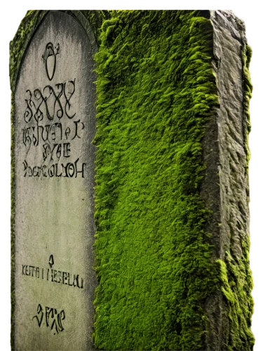 gravestone,grave stones,gravestones,headstone,tombstone,soldier's grave,tombstones,grave care,forest cemetery,grave,block of grass,the grave in the earth,children's grave,book cover,hollywood cemetery,moss,cd cover,old cemetery,sand-lime brick,grave arrangement,Illustration,Vector,Vector 08