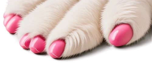 dog paw,toes,dog cat paw,foot model,toe,cat's paw,artificial nails,pig's feet,talons,clove pink,cat paw mist,girl feet,angora,zebra fur,feet closeup,women's cream,cats angora,paw,fringed pink,the pink panter,Illustration,Black and White,Black and White 01
