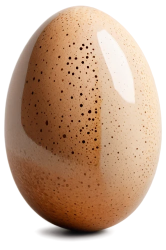 brown egg,egg,large egg,egg shell,tea egg,eggshell,bisected egg,painted eggshell,organic egg,bird's egg,hen's egg,chicken egg,soy egg,goose eggs,cracked egg,egg shaker,egg shells,brown eggs,eggshells,golden egg,Illustration,American Style,American Style 02