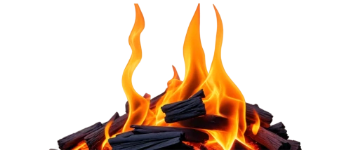 fire background,fire logo,fire ring,burned firewood,fire wood,fire beetle,gas flame,fire in fireplace,png transparent,wood fire,firebrat,molten,magma,cleanup,yule log,burned mount,png image,fire devil,log fire,flamed grill,Unique,3D,Toy