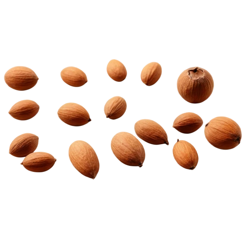 almond nuts,unshelled almonds,indian almond,almonds,pine nuts,almond,pine nut,argan tree,apricot kernel,argan trees,argan,beaked hazelnut,almond meal,salted almonds,hazelnuts,wooden balls,almond oil,walnuts,dried apricots,tree nut,Photography,Fashion Photography,Fashion Photography 19