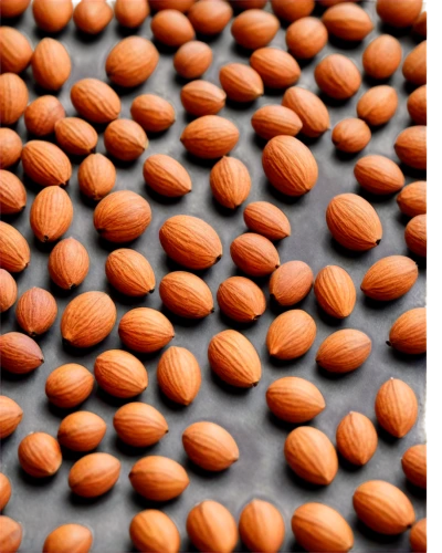 unshelled almonds,fish oil capsules,almonds,pine nuts,pumpkin seeds,hippophae,pumpkin seed,lentils,pine nut,softgel capsules,salted almonds,cowpea,care capsules,isolated product image,gel capsules,soybeans,cocoa beans,capsule-diet pill,kidney beans,roasted almonds,Illustration,Paper based,Paper Based 10