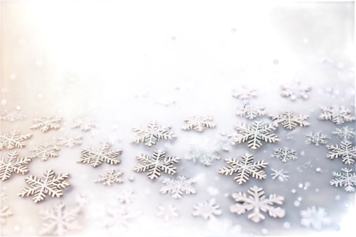 snowflake background,christmas snowflake banner,snowflakes,christmas snowy background,snow flake,white snowflake,gold foil snowflake,snowflake,winter background,summer snowflake,ice crystal,frosted glass,ice rain,christmasbackground,frosted glass pane,blue snowflake,snowfall,fire flakes,watercolor christmas background,flakes,Conceptual Art,Fantasy,Fantasy 27