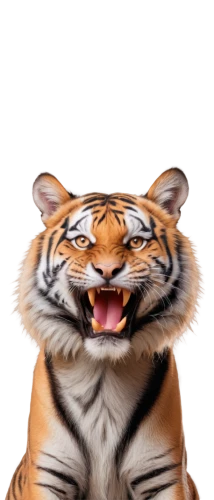 tiger png,tigerle,a tiger,tiger,tiger head,asian tiger,tigers,amurtiger,bengalenuhu,bengal tiger,siberian tiger,tiger cat,chestnut tiger,toyger,sumatran tiger,tiger cub,mow,royal tiger,felidae,tigger,Conceptual Art,Daily,Daily 12