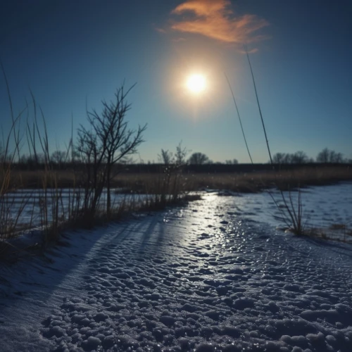 winter morning,winter landscape,winter light,reeds wintry,snow landscape,ice fog halo,ice landscape,russian winter,winter magic,snowy landscape,frozen lake,moon seeing ice,landscape photography,winter background,winter sky,ice rain,winter dream,winter lake,cattails,phragmites,Photography,General,Fantasy