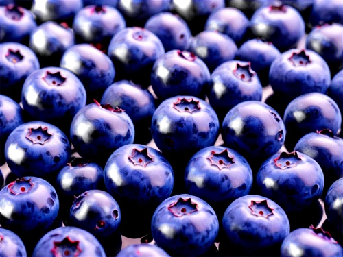 blueberries,blue grapes,purple grapes,jabuticaba,jamun,bilberry,blue grape,grape hyancinths,blue grape hyacinth,purple,grape-hyacinth,purple grape,acai,blueberry,grape hyacinth,grape hyacinths,johannsi berries,berry quark,grape bright grape,bright grape,Illustration,Black and White,Black and White 07