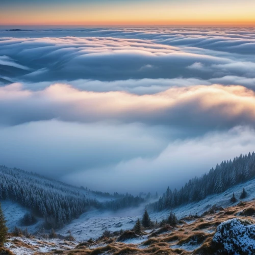 carpathians,sea of clouds,sea of fog,above the clouds,foggy landscape,ore mountains,northern black forest,foggy mountain,wave of fog,the russian border mountains,fog banks,tatra mountains,cloud mountains,tatry,cloud mountain,bucovina romania,beech mountains,bavarian forest,beskids,western tatras,Photography,General,Realistic