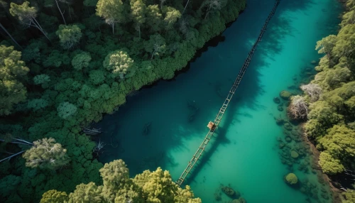 hanging bridge,king decebalus,bungee jumping,suspension bridge,decebalus,mckenzie river,railroad bridge,rope bridge,chain bridge,slovenia,scenic bridge,hangman's bridge,cantilever bridge,plitvice,old bridge,extradosed bridge,canopy walkway,danube gorge,mavic 2,wooden bridge,Photography,General,Realistic