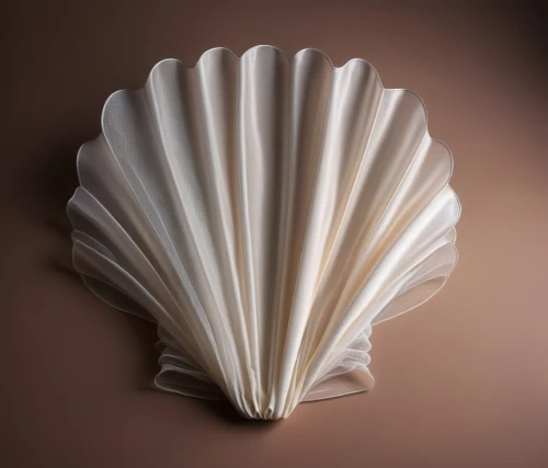 spiral book,coffee filter,folded paper,book pages,chinaware,piano books,plate shelf,tableware,spiny sea shell,book bindings,sea shell,junshan yinzhen,clay packaging,blue sea shell pattern,stoneware,japanese wave paper,library book,paper art,book gift,ceramic,Photography,General,Fantasy