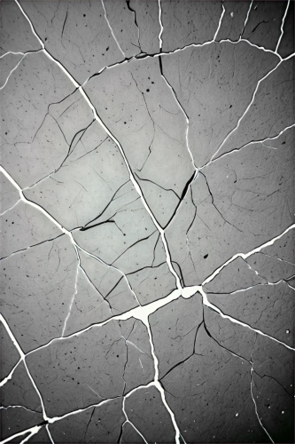neurons,plant veins,nerve cell,axons,neural pathways,connective tissue,leaf veins,isolated product image,ceramic floor tile,coronary vascular,glass tiles,reinforced concrete,framework silicate,macrocystis,floor tiles,light fractural,cell structure,cracked,structural glass,synapse,Conceptual Art,Sci-Fi,Sci-Fi 29
