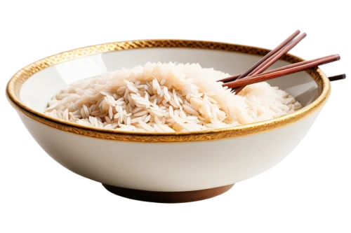 rice vermicelli,bowl of rice,vermicelli,rice noodles,jasmine rice,hayashi rice,shirataki noodles,steamed rice,white rice,rice meat,rice water,naengmyeon,glutinous rice,rice dish,oyster vermicelli,rice flour,dried shredded squid,soba,sticky rice,miso,Illustration,Black and White,Black and White 09
