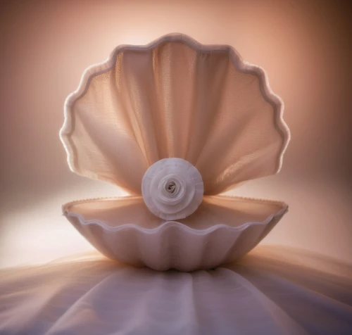 porcelain rose,fabric flower,sea shell,still life photography,fragrance teapot,decorative flower,magnolia flower,paper flower background,snail shell,vase,plastic flower,singing bowl massage,water lily plate,flower vase,calla lily,seashell,the petals overlap,clam shell,salt flower,lotus position,Photography,General,Cinematic