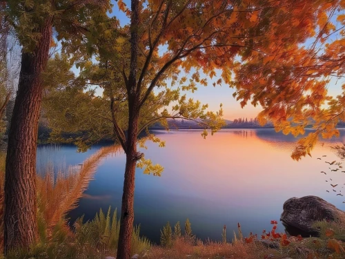 autumn landscape,autumn idyll,autumn scenery,autumn background,fall landscape,one autumn afternoon,autumn morning,evening lake,landscape background,autumn day,golden autumn,autumn forest,beautiful lake,autumn light,canim lake,autumn frame,the autumn,river landscape,autumn trees,nature landscape,Illustration,Paper based,Paper Based 04