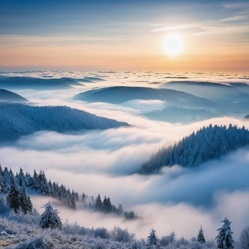 carpathians,ore mountains,northern black forest,sea of clouds,foggy landscape,above the clouds,sea of fog,foggy mountain,fog banks,wave of fog,bavarian forest,the russian border mountains,winter landscape,morning mist,beech mountains,mountain sunrise,north american fog,mountain landscape,snow landscape,beautiful landscape,Photography,General,Realistic