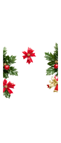 flowers png,poinsettia,christmas garland,christmas border,wreath vector,christmas snowflake banner,christmas flower,wreaths,christmas pattern,christmas motif,fir tree decorations,natal lily,flower of christmas,holly wreath,christmas ribbon,candy cane bunting,christmas tree pattern,christmas wreath,poinsettia flower,christmas bunting,Illustration,Vector,Vector 14