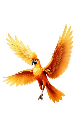 bird png,sun conure,sun conures,bearded vulture,defense,red tailed kite,bird flying,flame robin,red-tailed,yellow macaw,eagle vector,firefox,orange beak,light red macaw,rufous,coucal,gryphon,screaming bird,orange,griffon bruxellois,Illustration,Retro,Retro 21