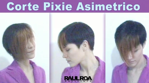 pixie-bob,asymmetric cut,pixie cut,rosa ' amber cover,cd cover,pin hair,pixie,hair coloring,hime cut,cosmetic,cosmeas,trend color,catalog,management of hair loss,pin stripe,paiste,artist color,convex,cover,core renovation