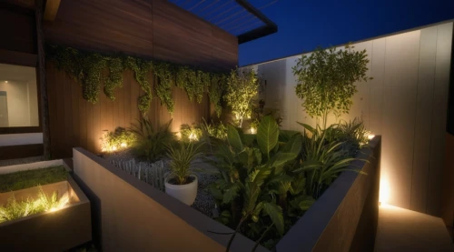 landscape design sydney,garden design sydney,landscape designers sydney,landscape lighting,balcony garden,roof garden,roof terrace,3d rendering,climbing garden,block balcony,balcony plants,bamboo plants,corten steel,modern house,security lighting,cubic house,ambient lights,render,garden elevation,hanging plants,Photography,General,Natural