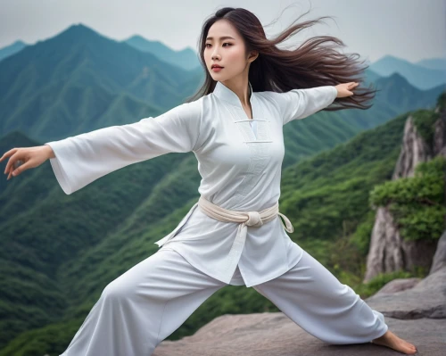 taijiquan,baguazhang,qi gong,shaolin kung fu,kung fu,martial arts uniform,taekwondo,karate,wushu,japanese martial arts,kungfu,martial arts,mulan,taekkyeon,xing yi quan,wing chun,haidong gumdo,tang soo do,bagua,judo,Conceptual Art,Fantasy,Fantasy 03