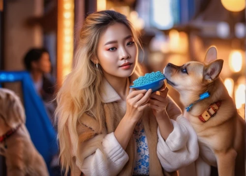 girl with dog,uji,woman eating apple,korean jindo dog,blonde girl with christmas gift,dog cafe,dog puppy while it is eating,japanese terrier,gyeonggi do,girl with cereal bowl,pet vitamins & supplements,thai bangkaew dog,pungsan dog,korean culture,korean drama,seo,korea,dogecoin,namsan hanok village,chewy,Photography,General,Commercial