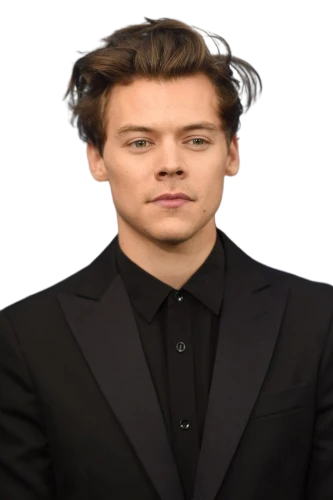 harry styles,harry,harold,flowers png,styles,rose png,png transparent,zuccotto,chair png,neck,suit actor,alfalfa,loudhailer,daddy,leonardo,wifi png,benedict herb,british semi-longhair,the suit,bird png