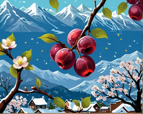 apple trees,rowanberries,cherries,fruit tree,winter cherry,sweet cherries,fruit trees,cherry trees,snow cherry,bubble cherries,plums,cherry tree,rosehips,apple tree,orchards,cherry plum,apple mountain,berries,christmas snowy background,red apples,Unique,Design,Sticker