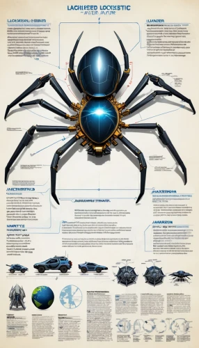 vector infographic,carapace,arachnid,lamniformes,lembeh,lamnidae,scarab,tarantula,black crab,camel spiders,dung beetle,arthropods,carpenter ant,arthropod,jumping spider,scarabs,invertebrates,invertebrate,elephant beetle,medical concept poster,Unique,Design,Infographics