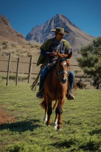 endurance riding,chilean rodeo,cowboy mounted shooting,cowboy action shooting,quarterhorse,man and horses,western riding,horse grooming,gelding,horse trainer,horsemanship,pony mare galloping,warm-blooded mare,przewalski's horse,horse running,wild spanish mustang,galloping,horse herder,horseback riding,buckskin,Photography,General,Realistic